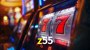 Login Seguro z55