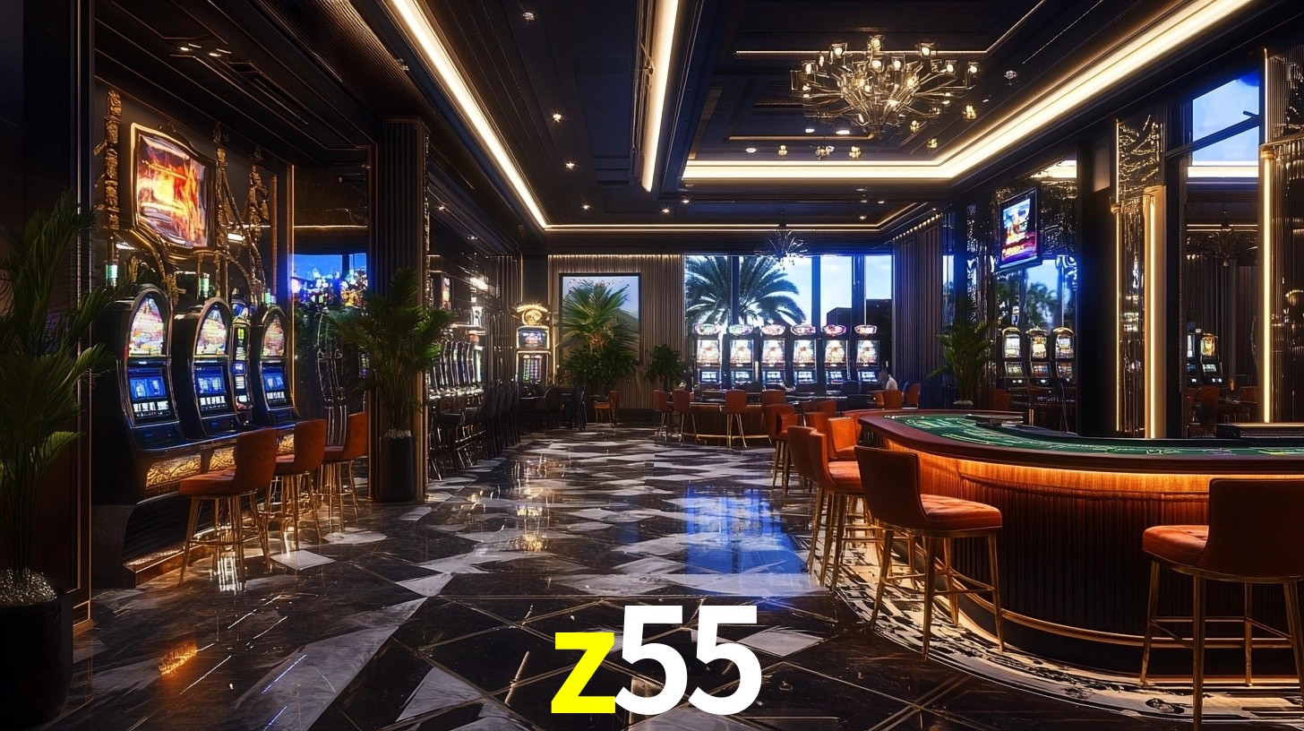 z55 App Interface