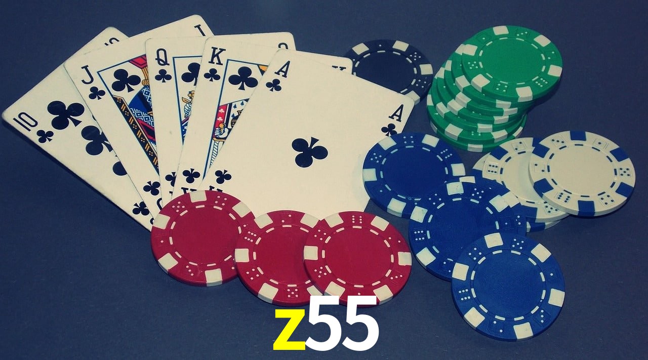 Player Reviews z55