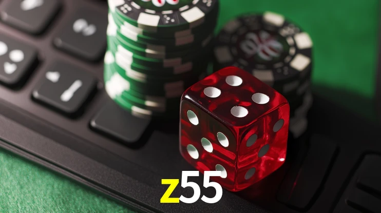 Platform Technology z55