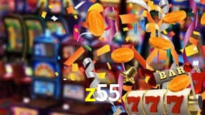 z55 App Interface