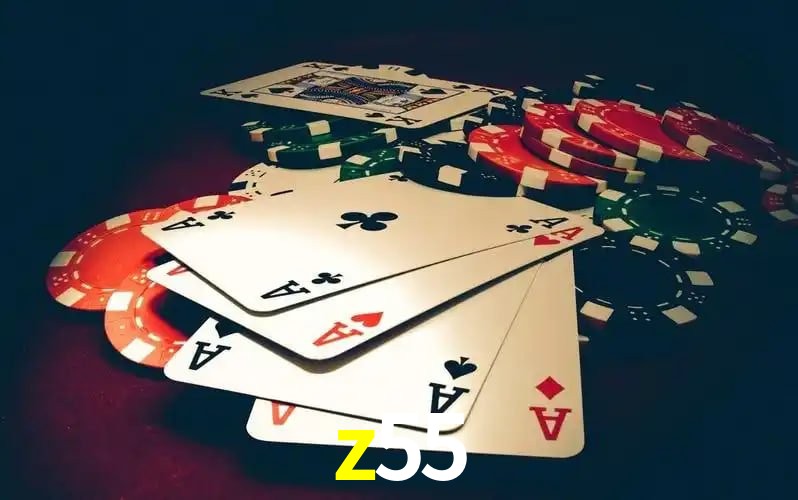 Explore as vantagens do z55: serviço profissional e confiabilidade